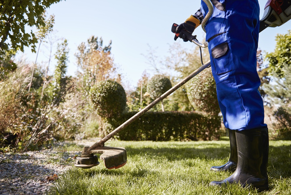 gardener with weedwacker cutting grass garden.jpg